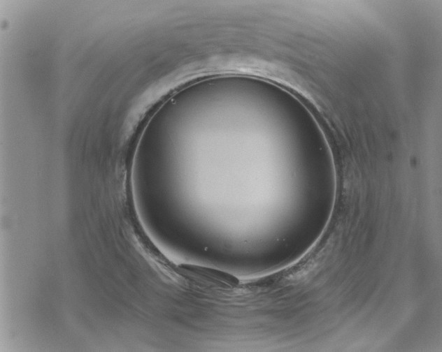 X0000071931507200607071209