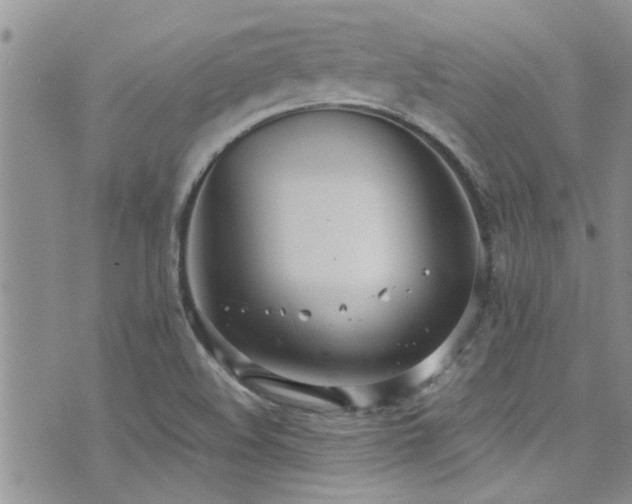 X0000071931508200607071209