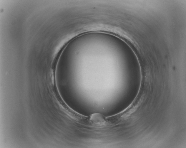 X0000071931509200607071209