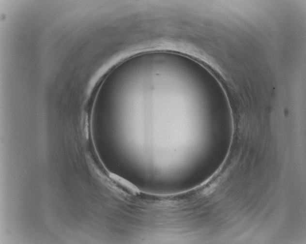 X0000071931510200607071209