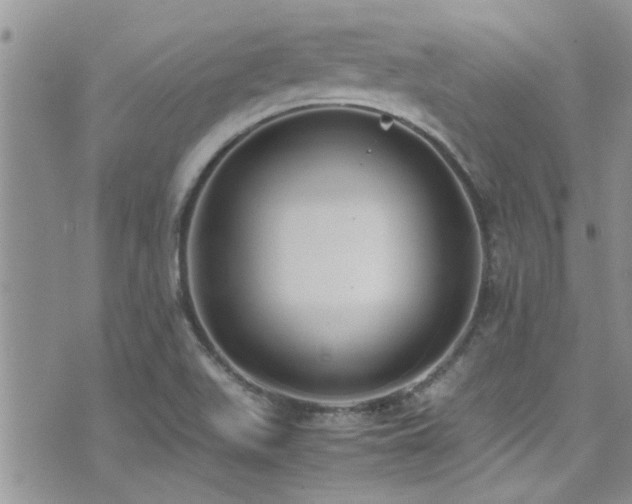 X0000071931511200607071209