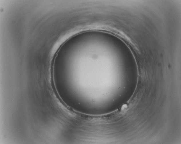 X0000071931512200607071209