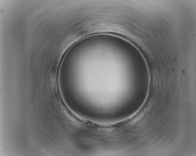 X0000071931513200607071210