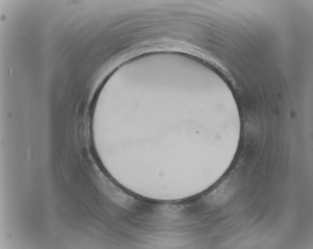 X0000071931514200607071210