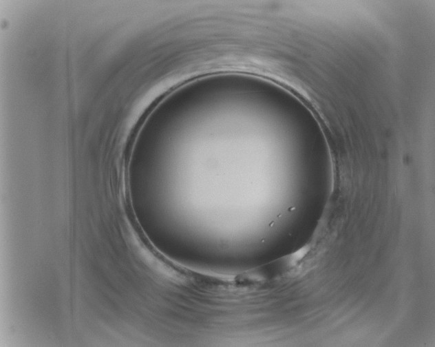 X0000071931515200607071210