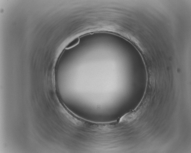 X0000071931516200607071210