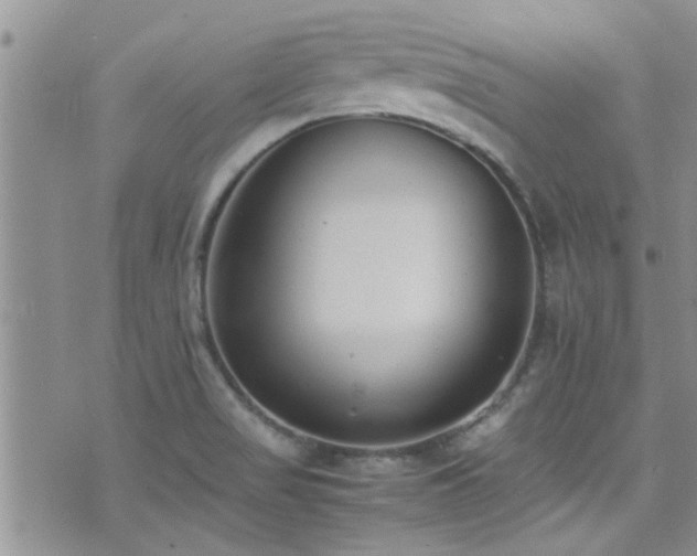 X0000071931517200607071210