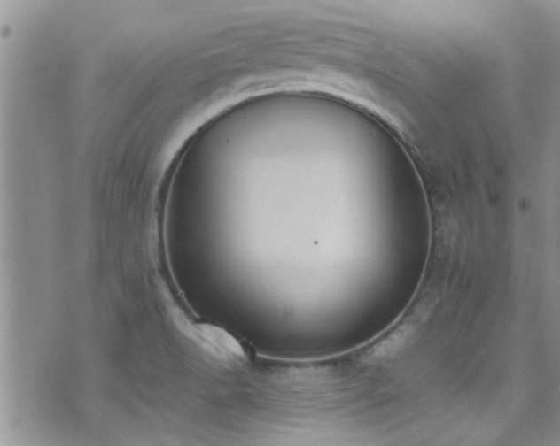 X0000071931518200607071210