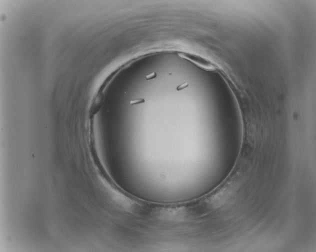 X0000071931519200607071210