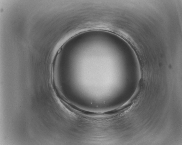 X0000071931520200607071210