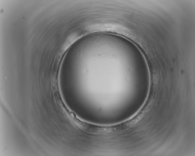 X0000071931521200607071210