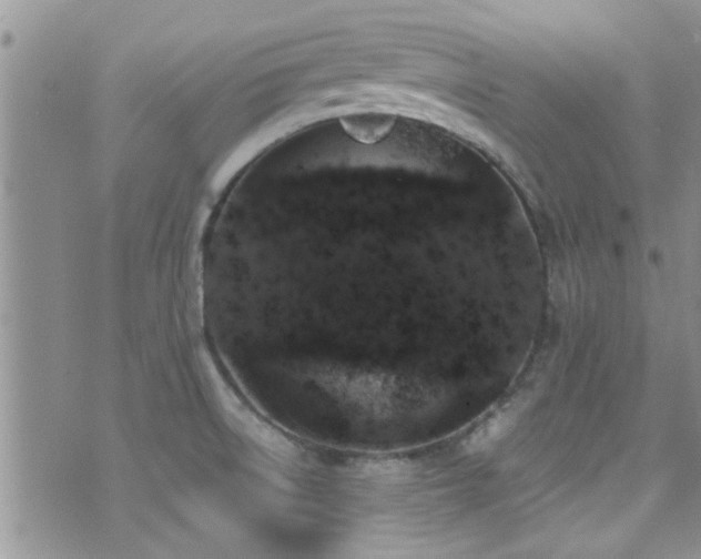 X0000071931522200607071210