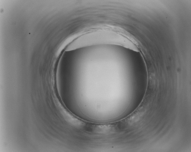 X0000071931523200607071210