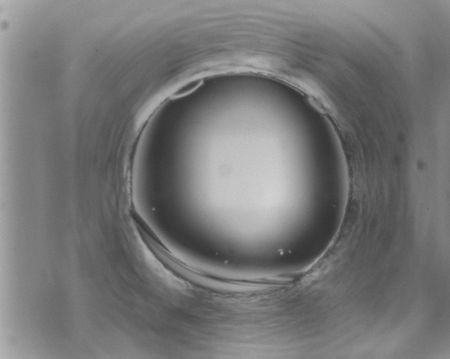 X0000071931524200607071210