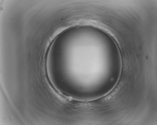 X0000071931525200607071210