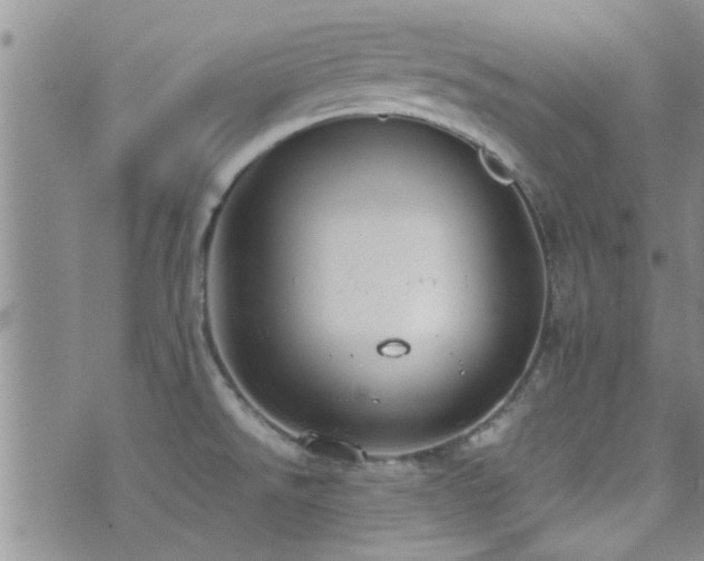 X0000071931526200607071210