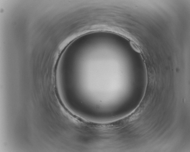 X0000071931527200607071210