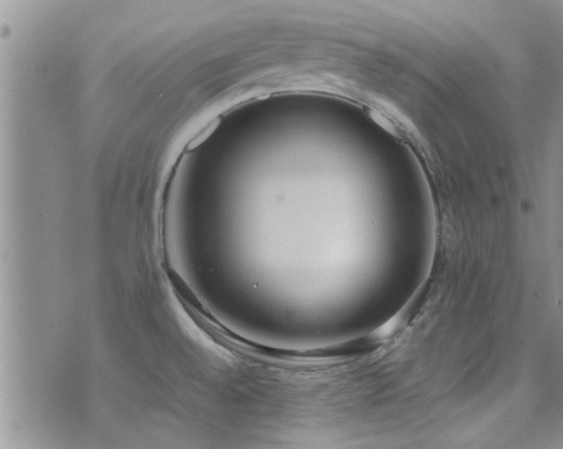 X0000071931528200607071210