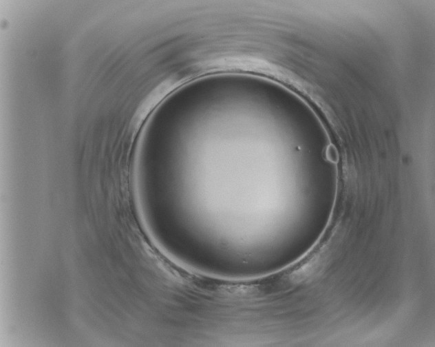 X0000071931529200607071210