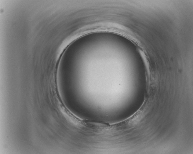 X0000071931530200607071210