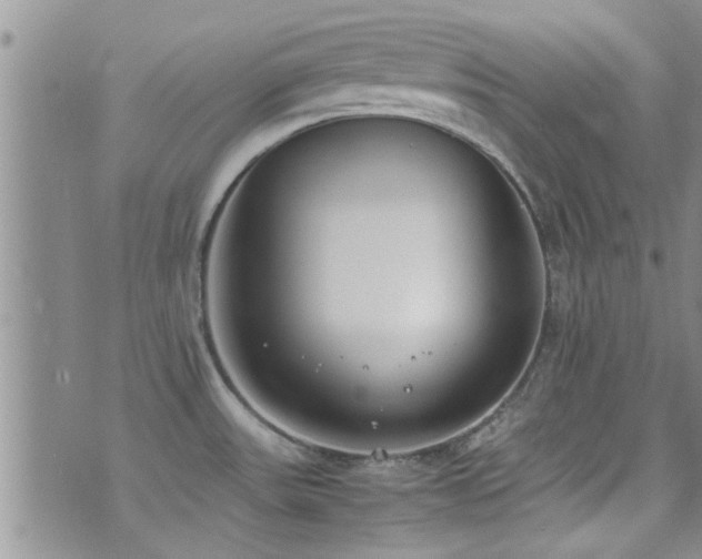 X0000071931531200607071210