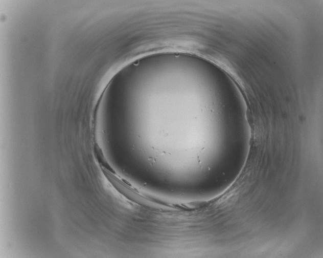 X0000071931532200607071210