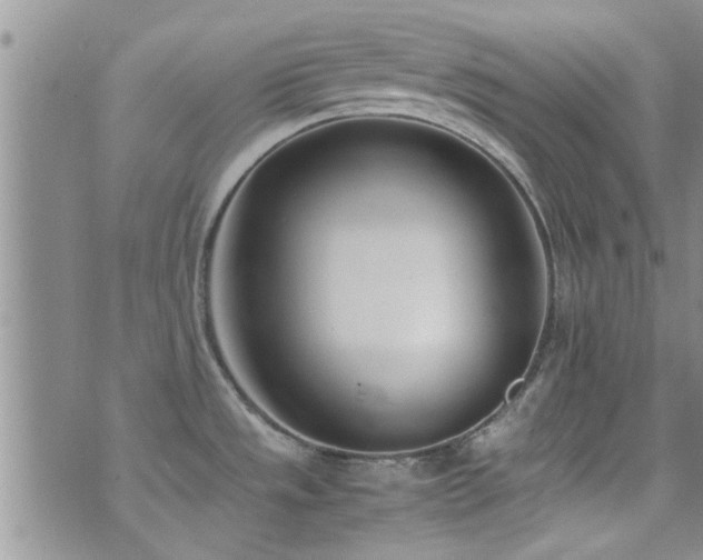 X0000071931533200607071210