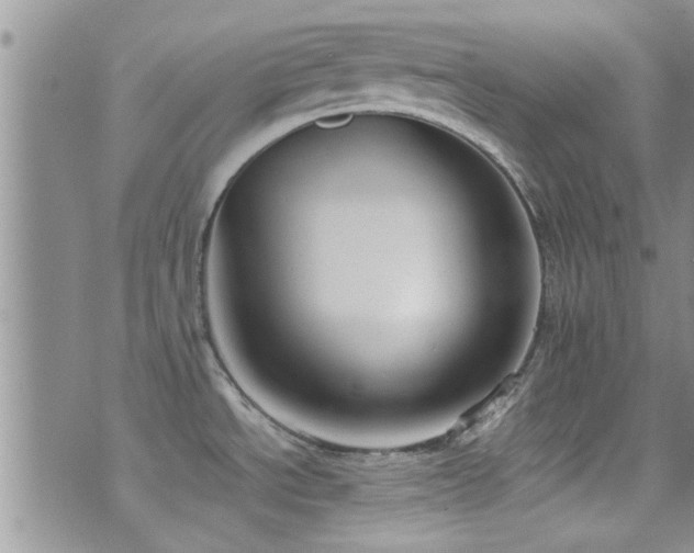 X0000071931534200607071210