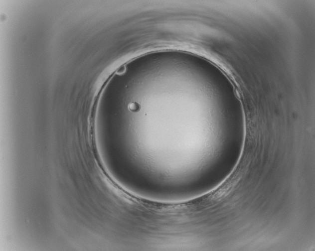 X0000071931535200607071210