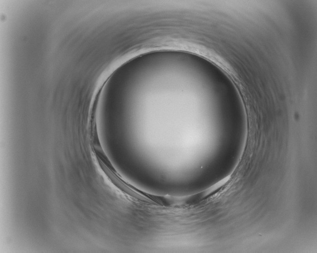 X0000071931536200607071210