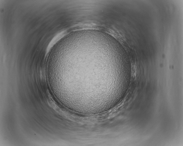 X0000071930004200607141412