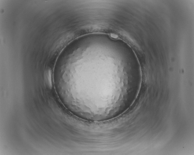 X0000071930022200607141411