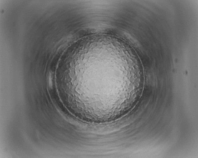 X0000071930026200607141411
