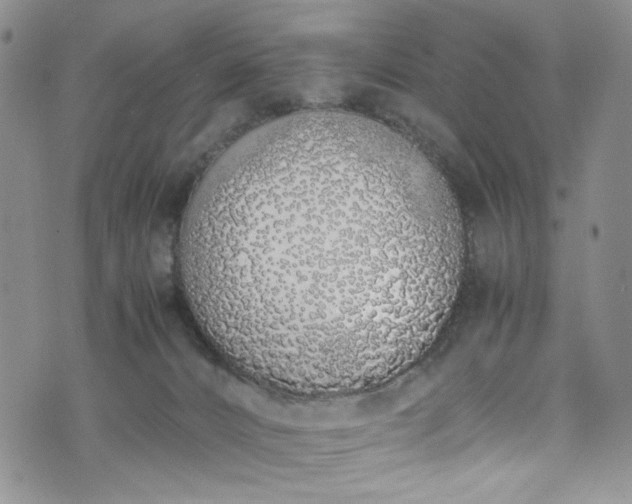 X0000071930032200607141411