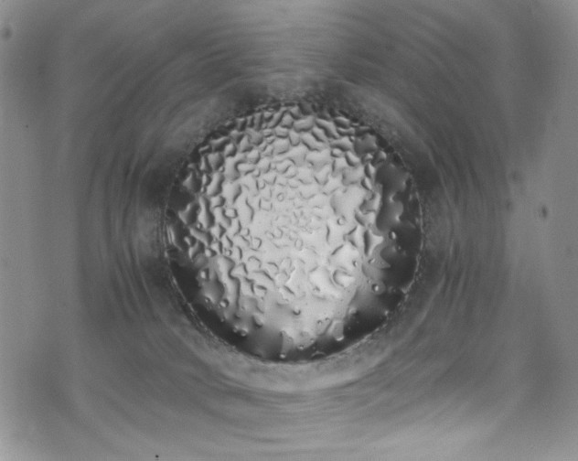 X0000071930034200607141411