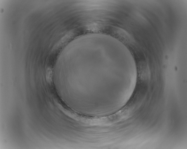 X0000071930036200607141411