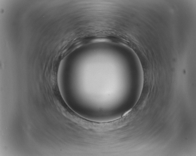 X0000071930039200607141411