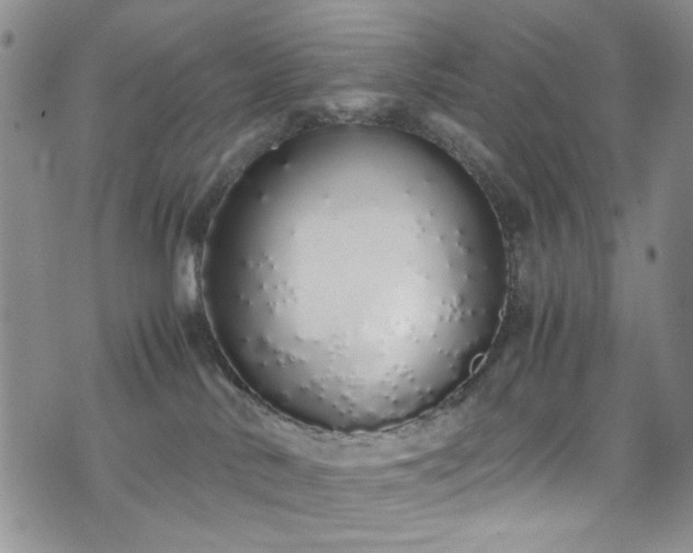 X0000071930042200607141411