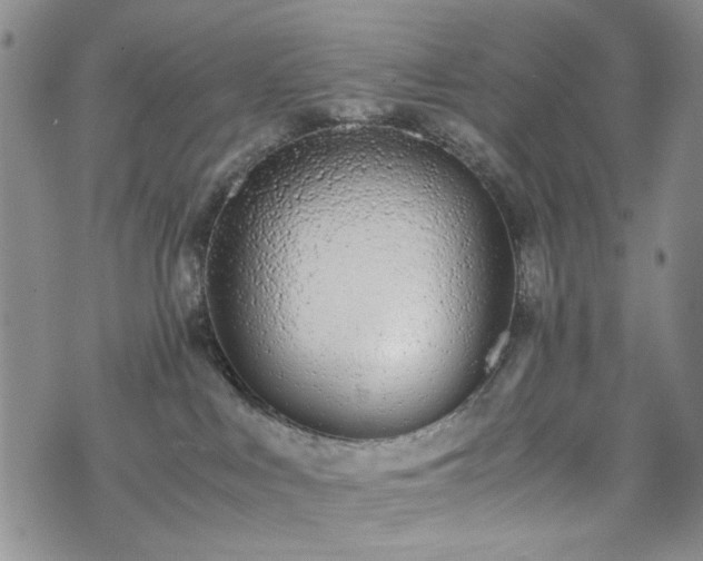 X0000071930043200607141411