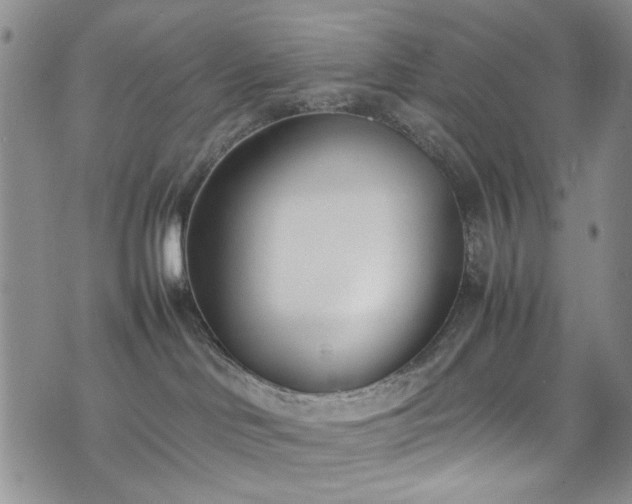 X0000071930046200607141411