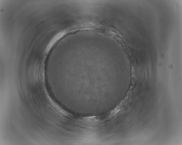 X0000071930054200607141410