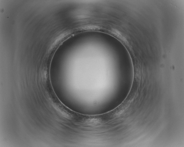 X0000071930063200607141410