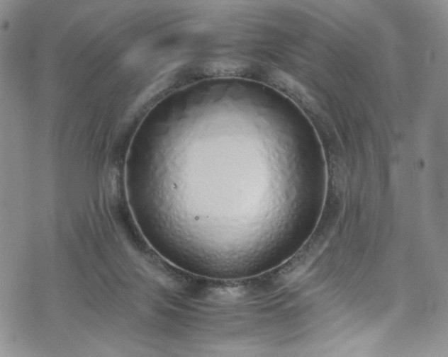 X0000071930071200607141411