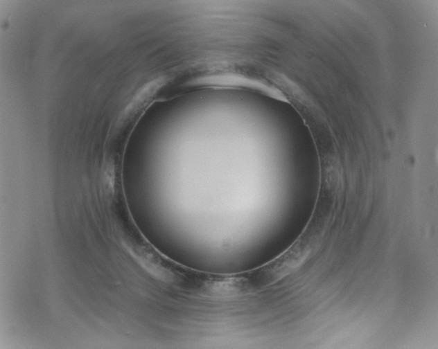 X0000071930072200607141411