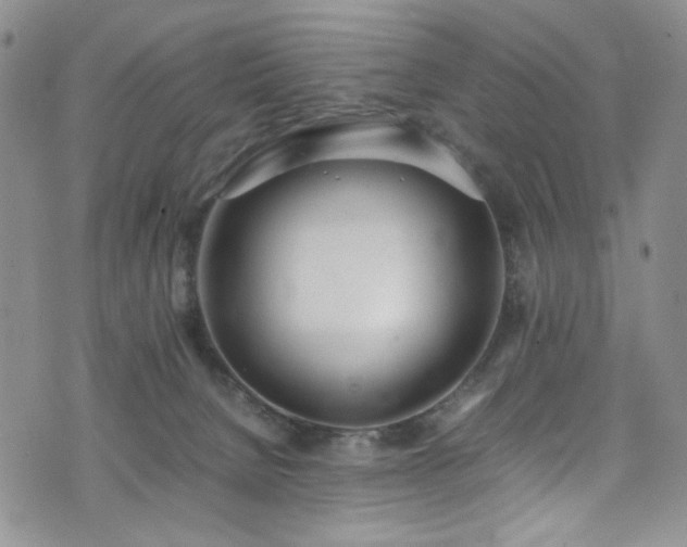 X0000071930080200607141411