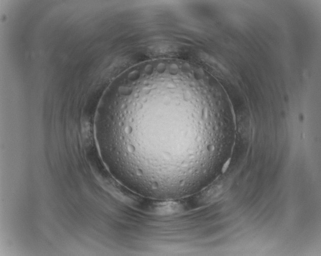 X0000071930087200607141411