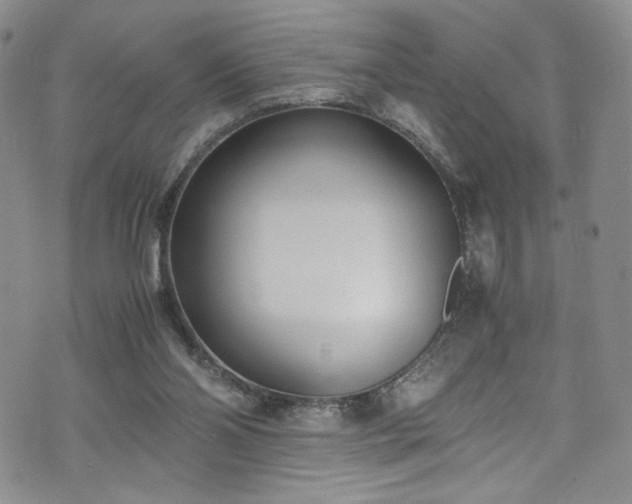 X0000071930110200607141410
