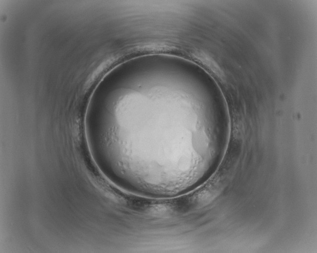 X0000071930111200607141410