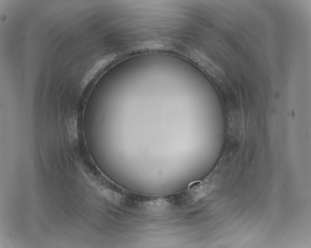 X0000071930112200607141410