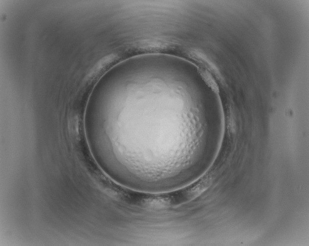 X0000071930115200607141410